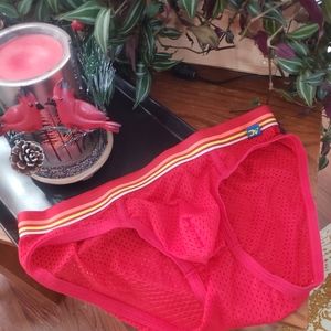 Andrew Christian mesh briefs